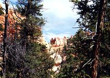 Bryce Canyon NP, Navajo Loop Trail