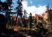 Bryce Canyon NP, Navajo Loop Trail